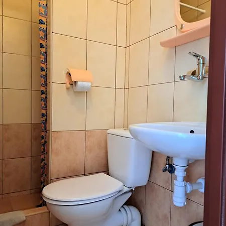 Domicela ليبا
